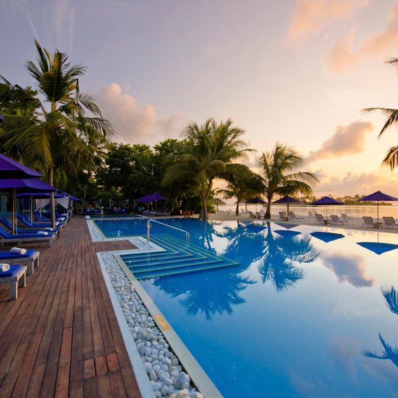 Long Sleeve Shirt 🎽 Hollister Xs-sz - Picture 6 of 6